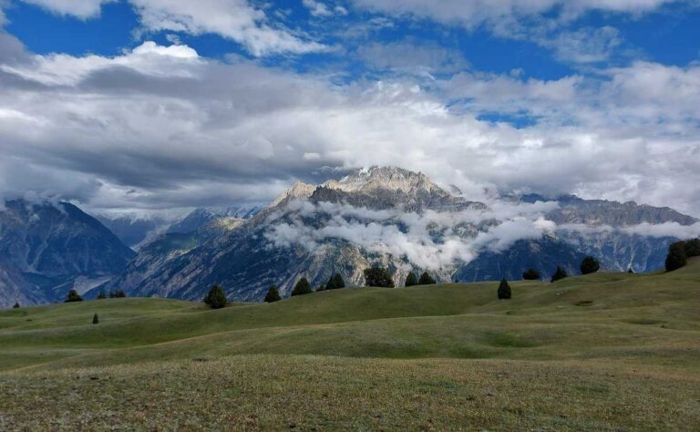 Musafir in Transit - home