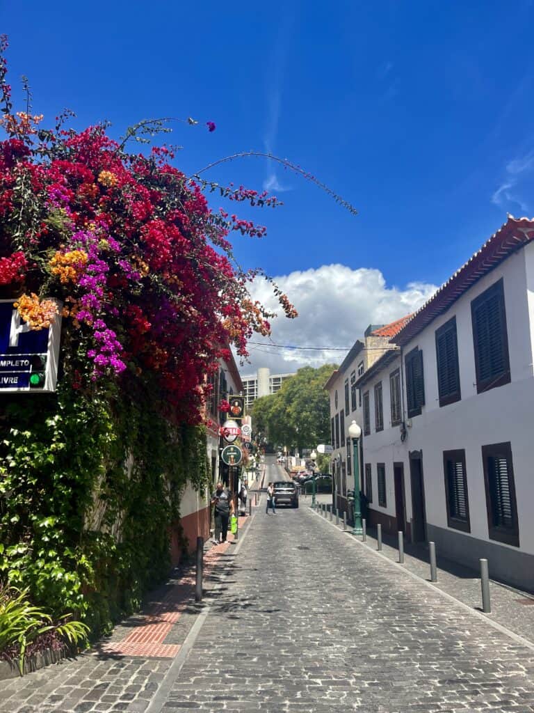 Cobbled street with lots of pink flowers in Funchal, Madeira