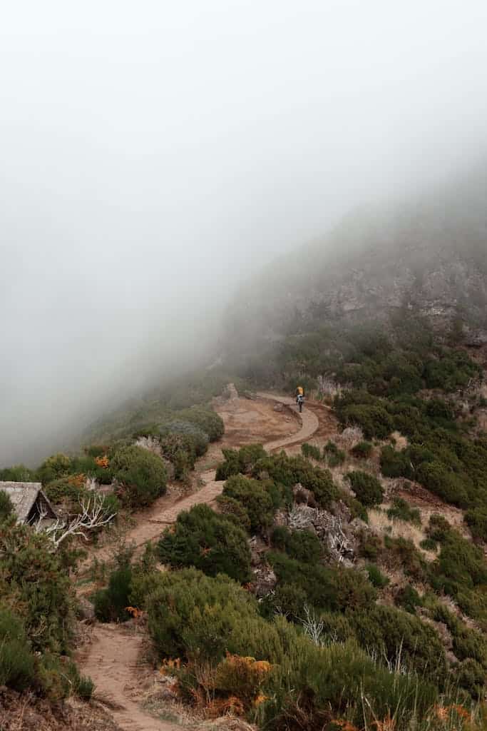 Hiking trail covered in fog