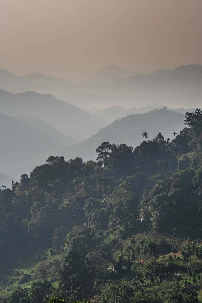 Tranquil view of misty mountain ranges in Ella, Sri Lanka, showcasing lush green forests.