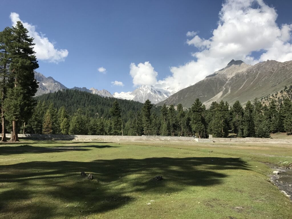 Rama meadows and alpine trees, with nanga parbat in the background