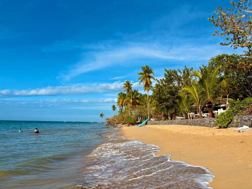 White sand beach and palm trees on a sunny day in Las Terrenas, Dominican Republic