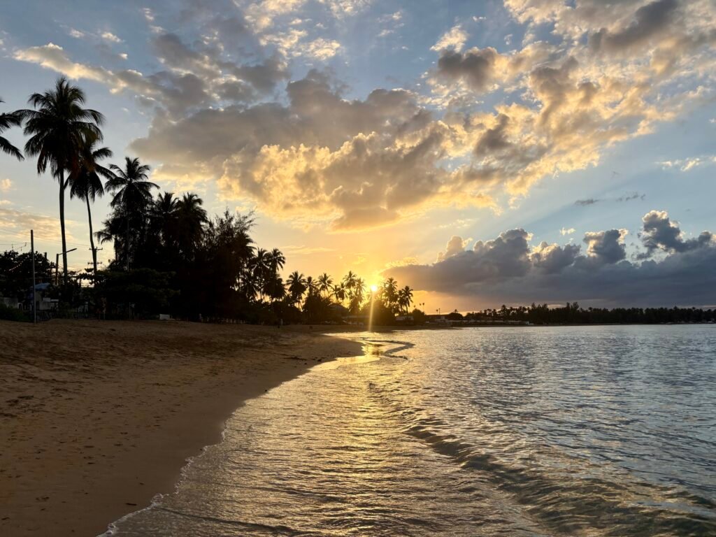 The sun sets behind a line of tall palm trees along the beach in Las Terrenas, casting golden reflections across the water. Soft clouds glow orange and pink as small waves curve along the shoreline.