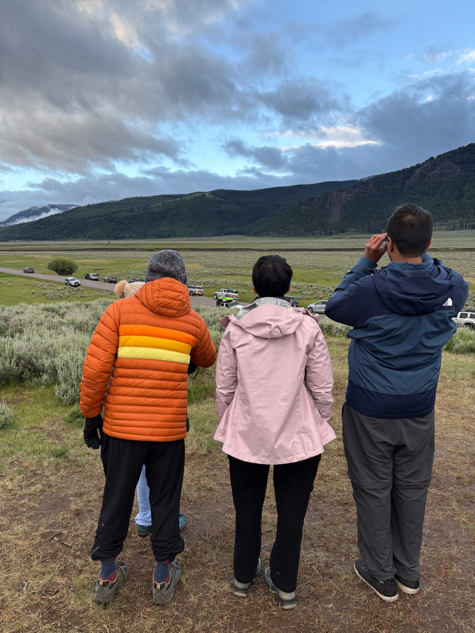 Group of visitors watching wildlife across Lamar Valley during an early morning Yellowstone wildlife viewing stop.